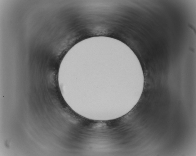 X0000103480162200809261935