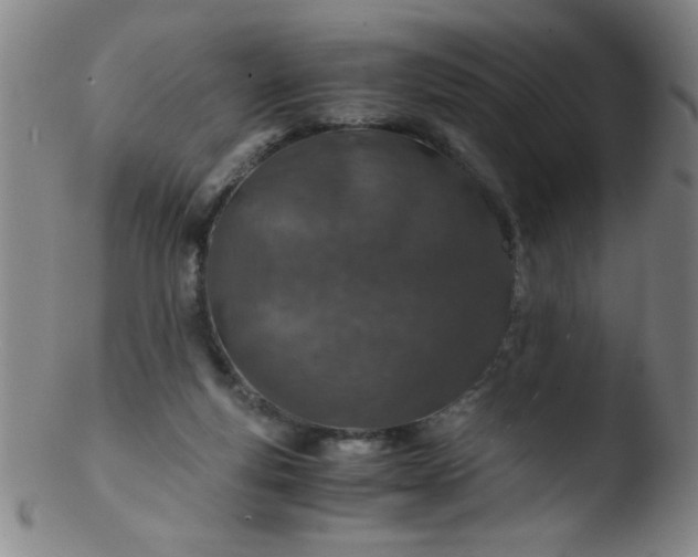 X0000103480163200809261935