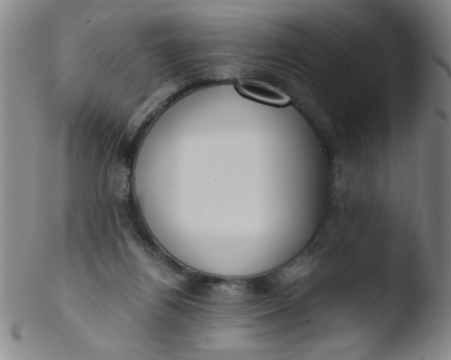 X0000103480164200809261935