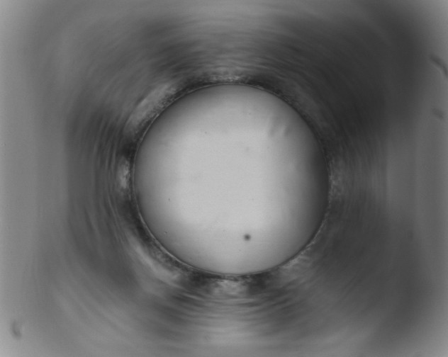 X0000103480166200809261935