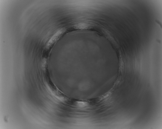 X0000103480167200809261935