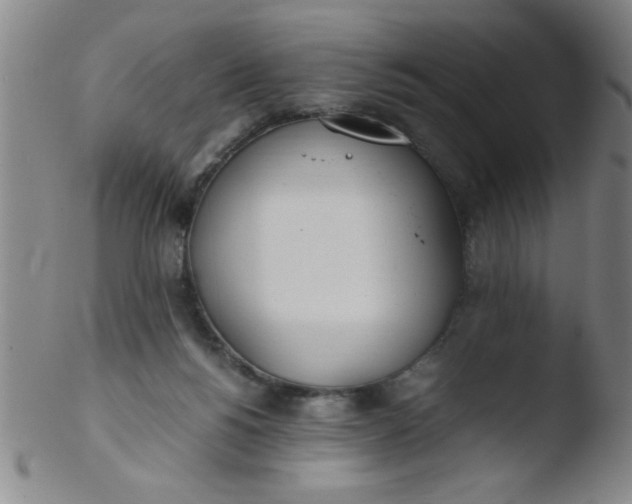 X0000103480168200809261935