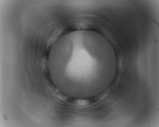 X0000103480169200809261935