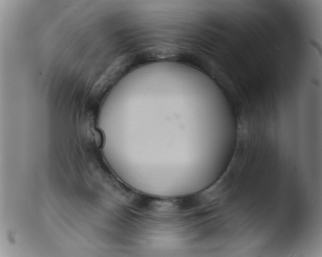 X0000103480170200809261935