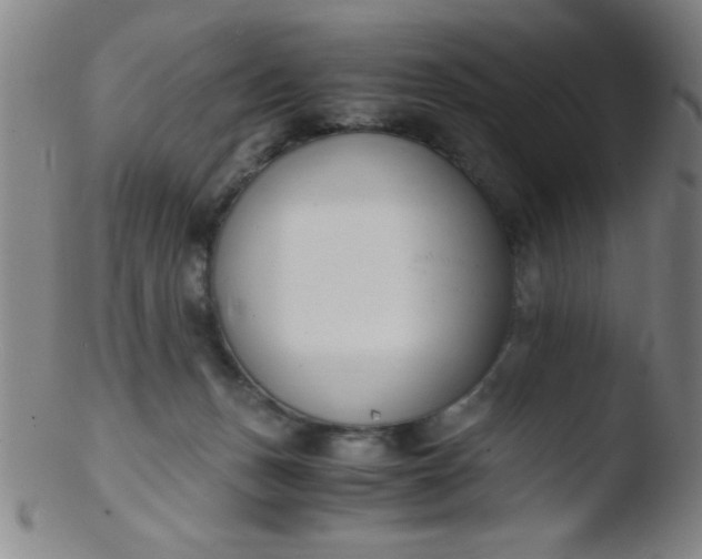 X0000103480175200809261936