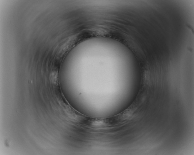 X0000103480177200809261936