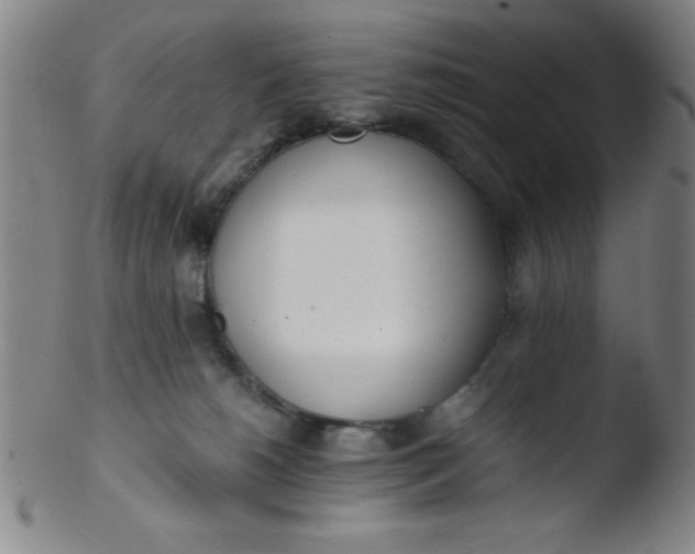 X0000103480180200809261936