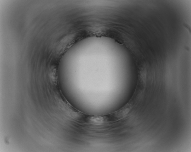 X0000103480181200809261936