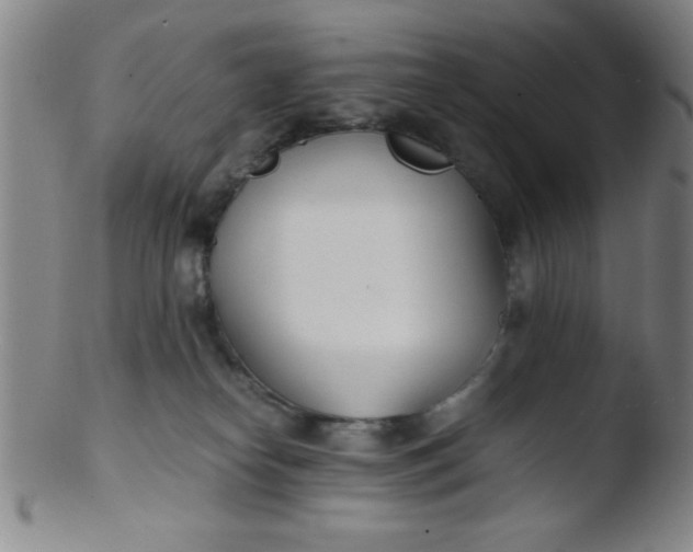 X0000103480182200809261936