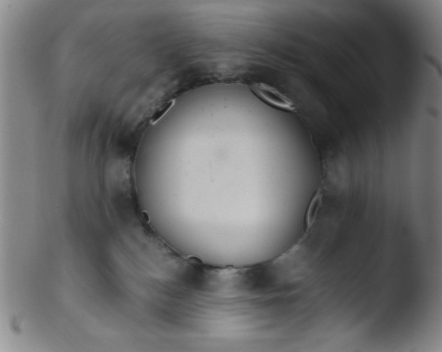 X0000103480184200809261936