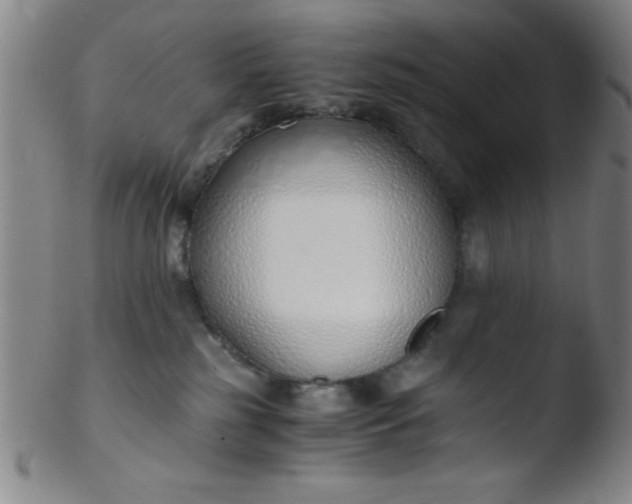 X0000103480185200809261936