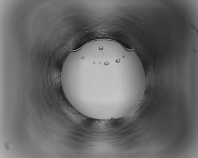 X0000103480186200809261936