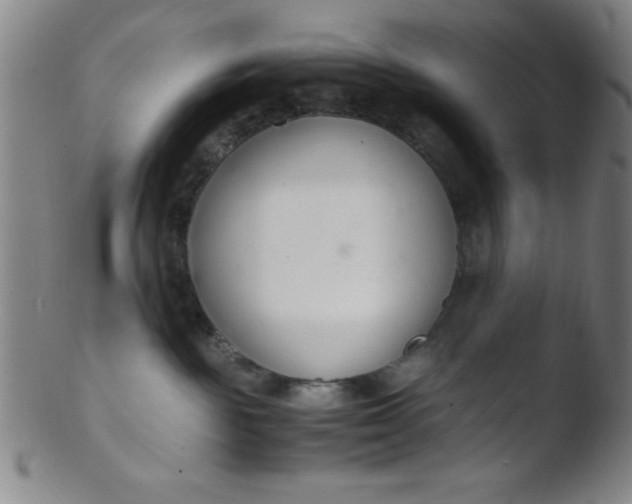 X0000103480189200809261936