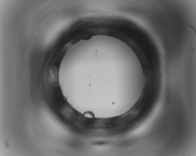 X0000103480190200809261936