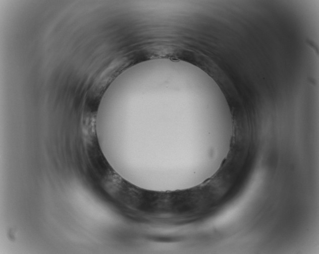 X0000103480191200809261936