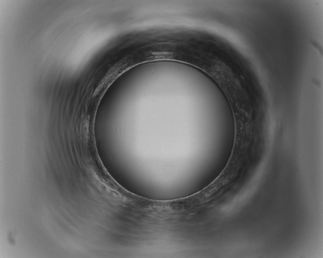 X0000103480194200809261935