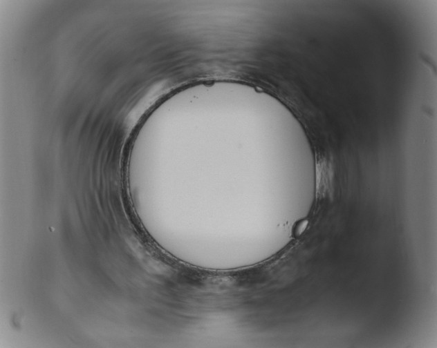 X0000103480195200809261935