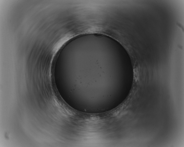 X0000103480196200809261935