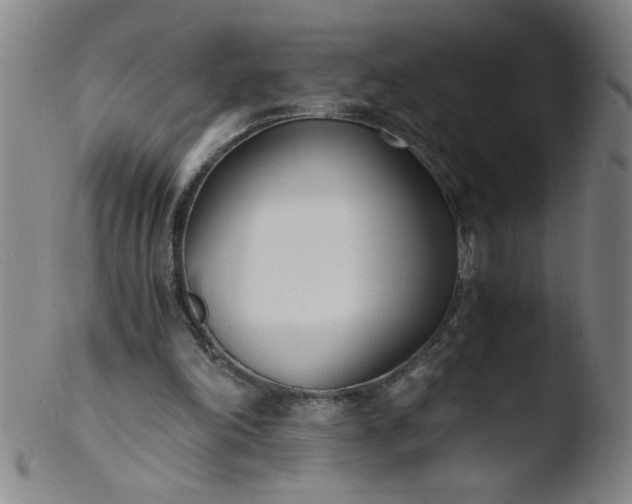 X0000103480198200809261935