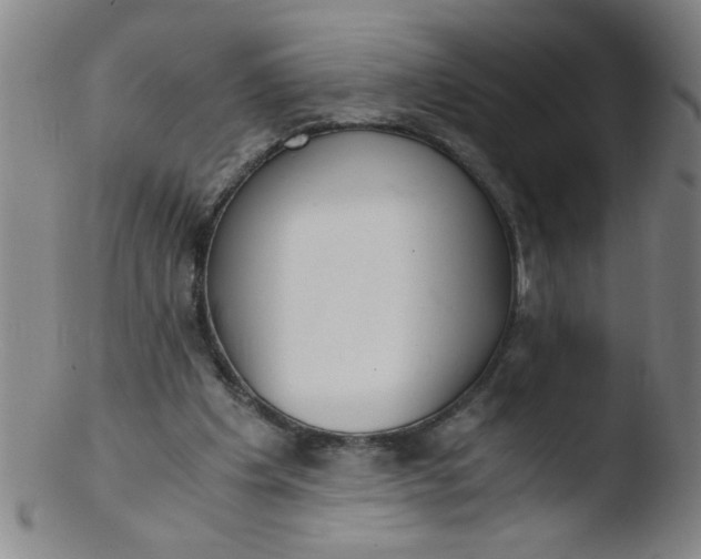 X0000103480201200809261935