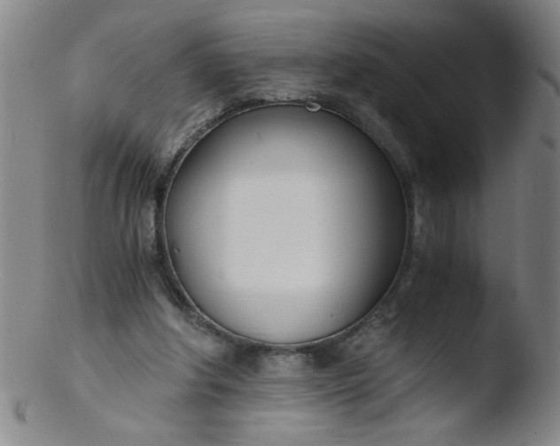 X0000103480202200809261935