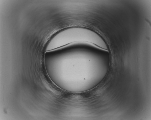 X0000103480203200809261935