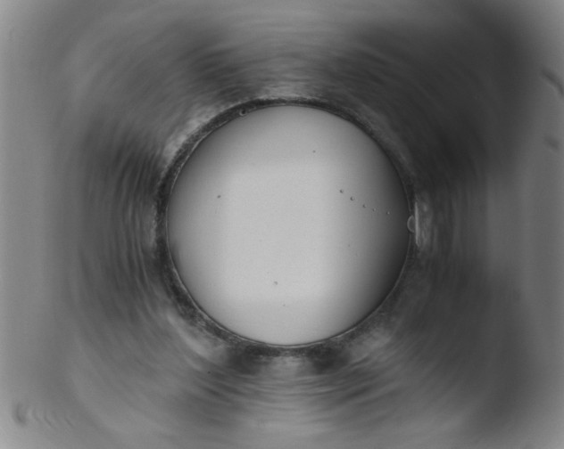 X0000103480204200809261935