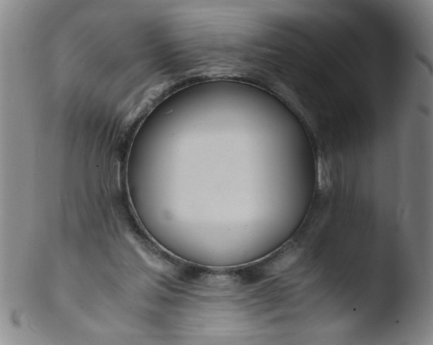 X0000103480205200809261935