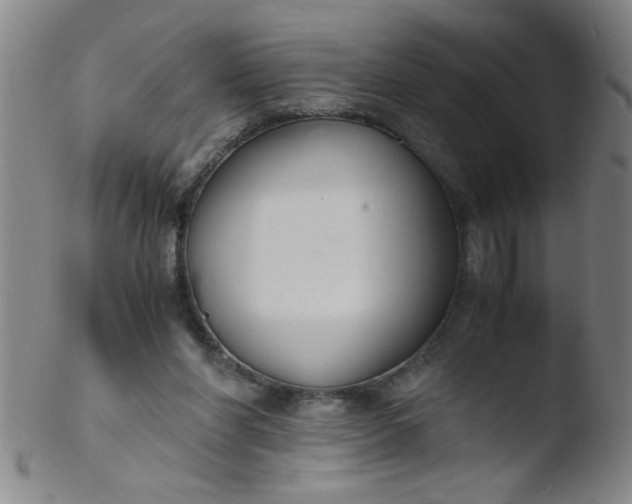 X0000103480206200809261935