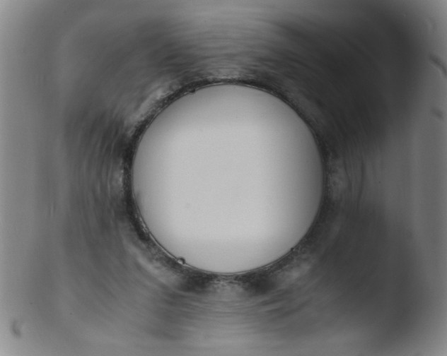 X0000103480207200809261935