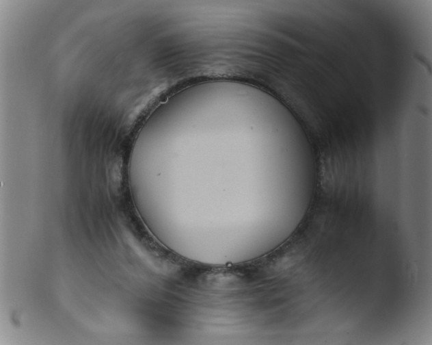 X0000103480208200809261935