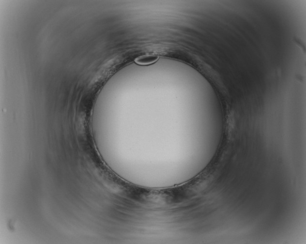 X0000103480209200809261935