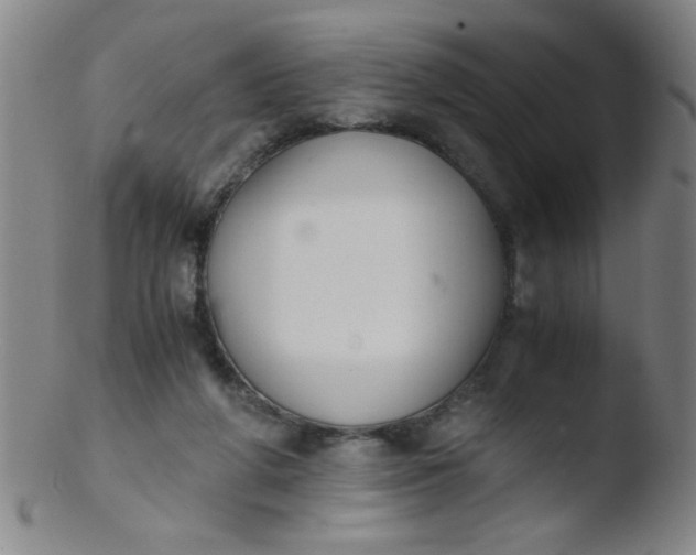 X0000103480210200809261935