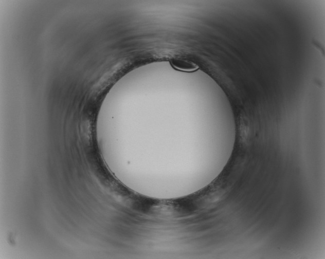 X0000103480211200809261935