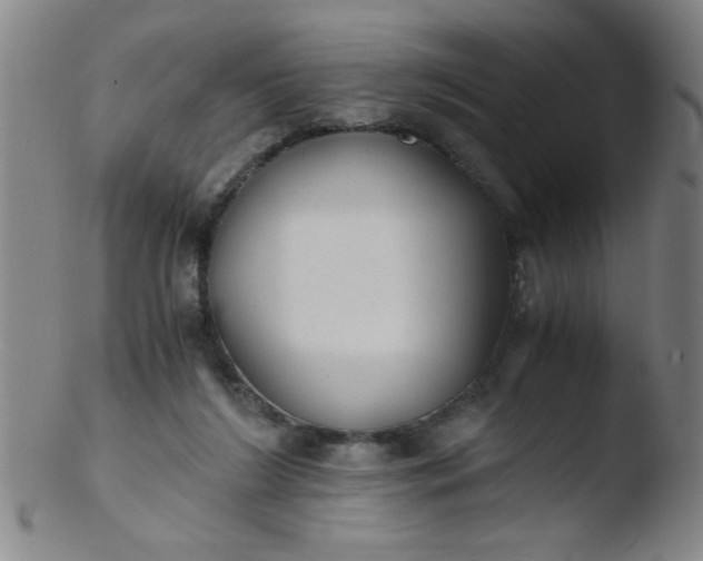 X0000103480212200809261935