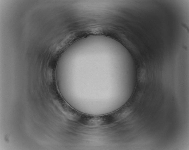 X0000103480213200809261935