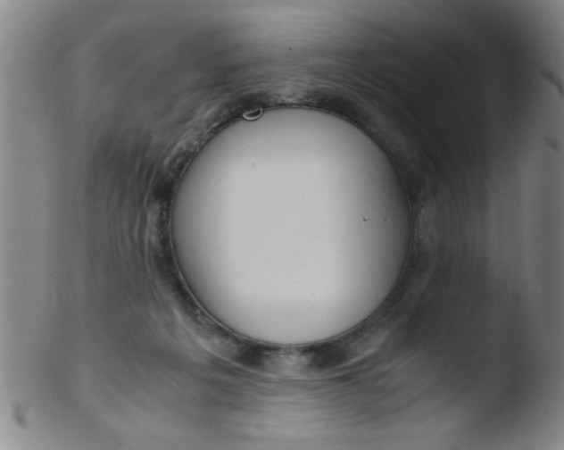 X0000103480217200809261935