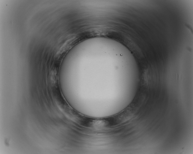 X0000103480218200809261935