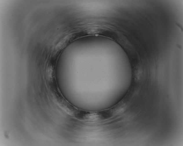 X0000103480219200809261935