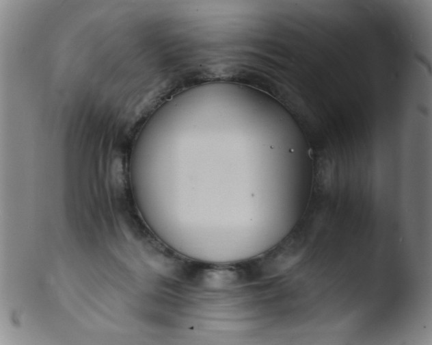 X0000103480220200809261935