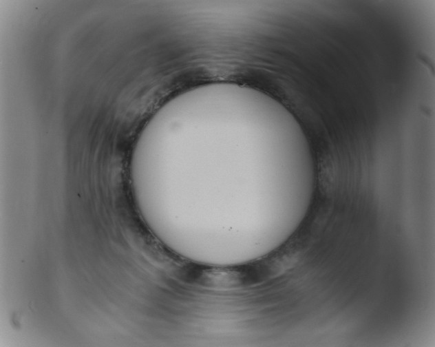 X0000103480221200809261935