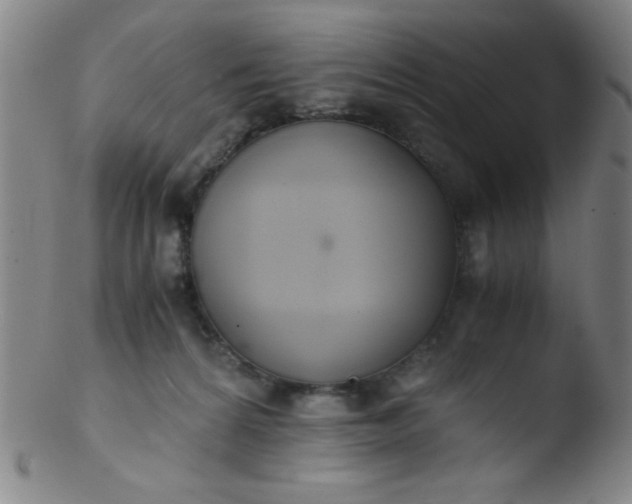 X0000103480224200809261935