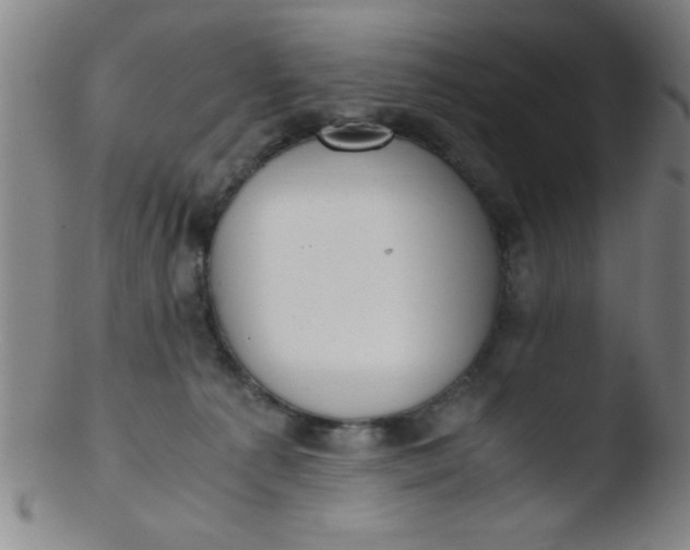 X0000103480225200809261934