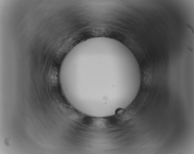 X0000103480226200809261934