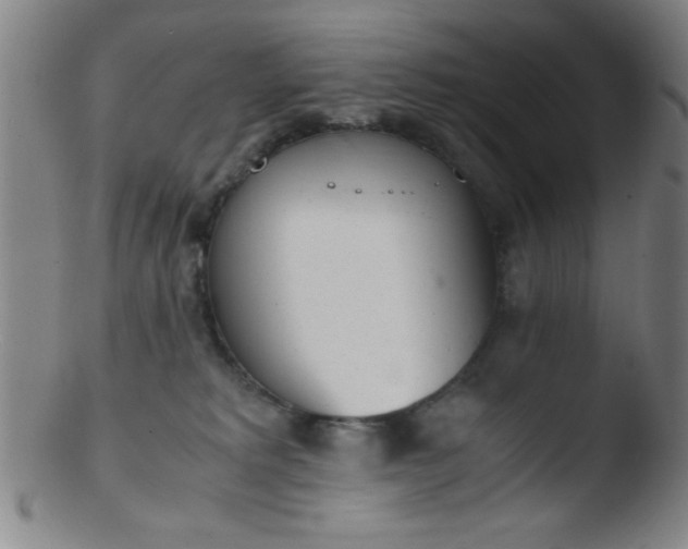 X0000103480229200809261934