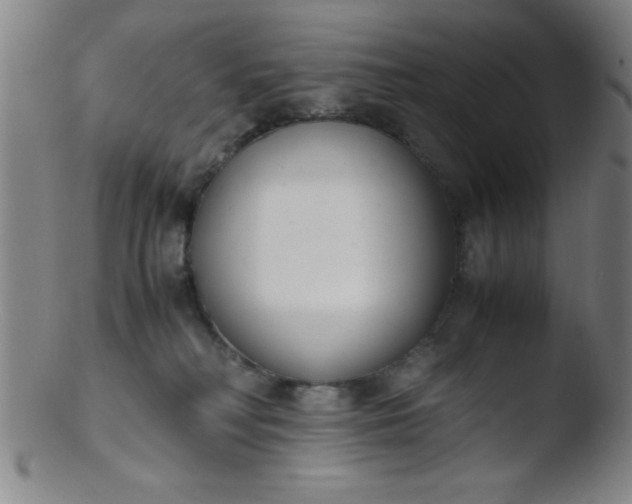 X0000103480230200809261934