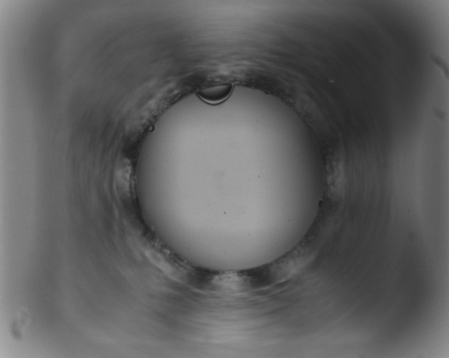 X0000103480231200809261934