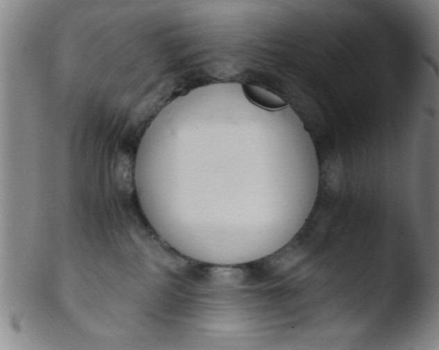 X0000103480234200809261934