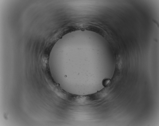 X0000103480235200809261934