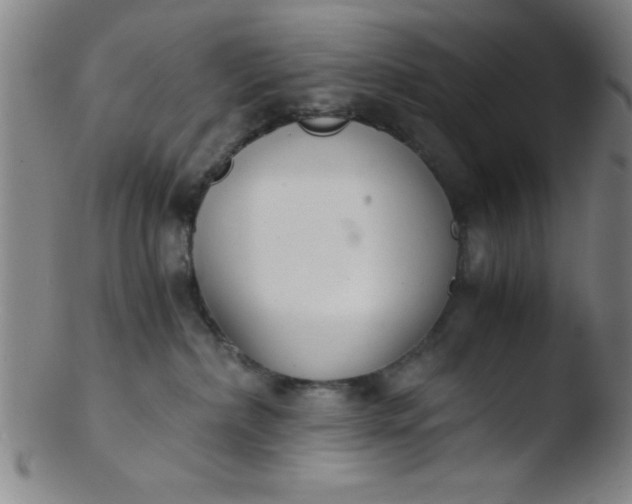 X0000103480236200809261934